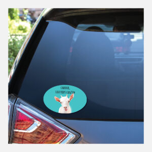 Oval Gloss White Vinyl Bumper Stickers