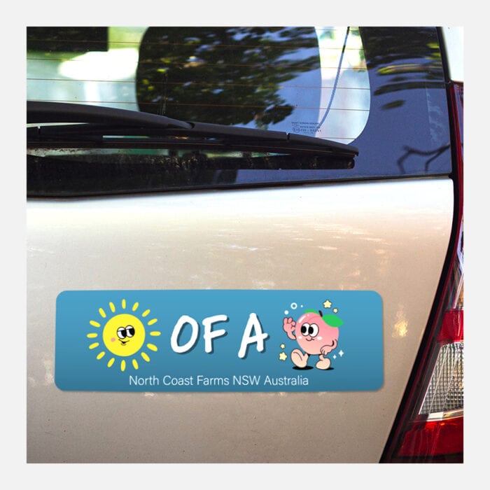 Rectangle Vinyl Stickers | Order Bumper Stickers